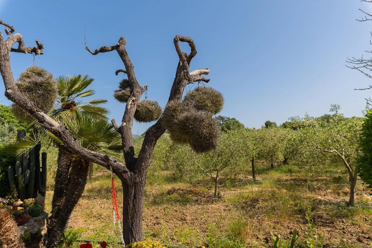 Finca Sa Sini Búger 0*,